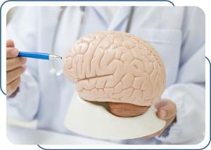 Neurology Treatment at Internal Medicine and Family Practice, Primary Care in Joliet, IL Neurology Treatment at Internal Medicine and Family Practice, Primary Care in Joliet, IL