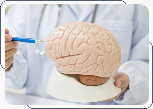 Neurology Treatment at Internal Medicine and Family Practice, Primary Care in Joliet, IL Neurology Treatment at Internal Medicine and Family Practice, Primary Care in Joliet, IL